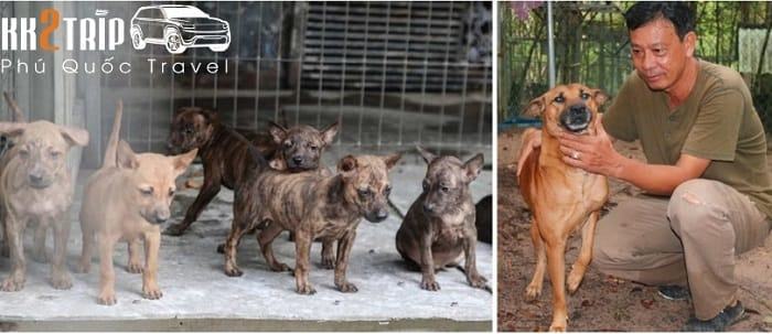 Phu Quoc attractions