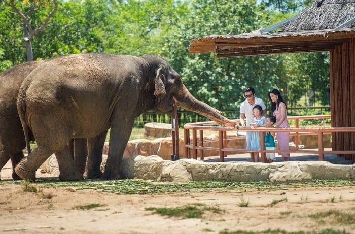 #5 Địa Chỉ Cho Thuê Xe Đi Bắc Đảo Phú Quốc Uy Tín Giá Tốt Vinpearl Safari