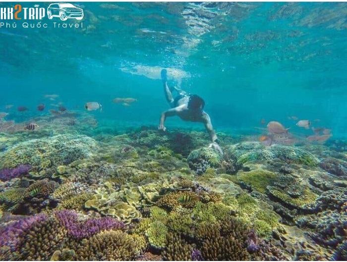 Đi Du Lịch Phú Quốc Hết Bao Tiền?