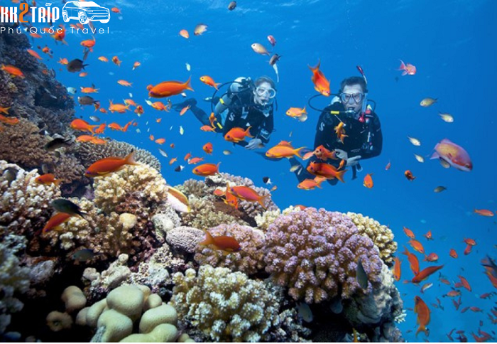 Your Ultimate Guide to Snorkelling in Phu Quoc Phu Quoc Coral Reef System