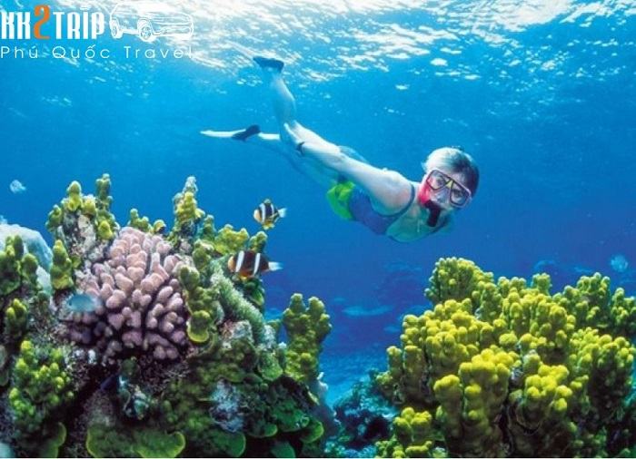 Tour Câu Cá Lặn Ngắm San Hô Phú Quốc Giá Rẻ - An Toàn Tour Câu Cá Lặn Ngắm San Hô Phú Quốc Chi Tiết Nhất