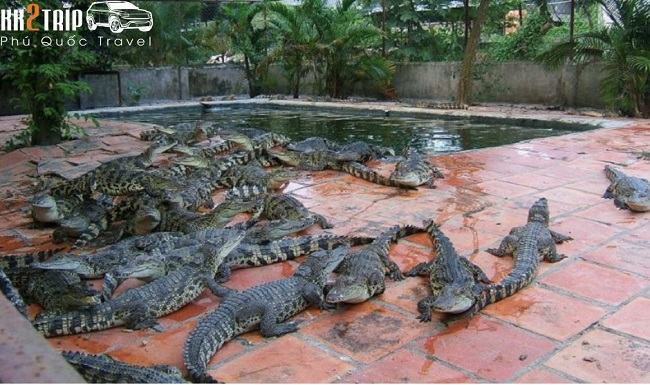 Du Lịch Bãi Thơm Đảo Phú Quốc: Kinh Nghiệm Từ A-Z