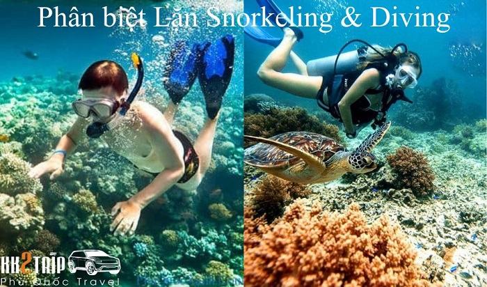 So Sánh Sự Khác Nhau Giữa Lặn Snorkeling & Diving Lặn Snorkeling và Diving