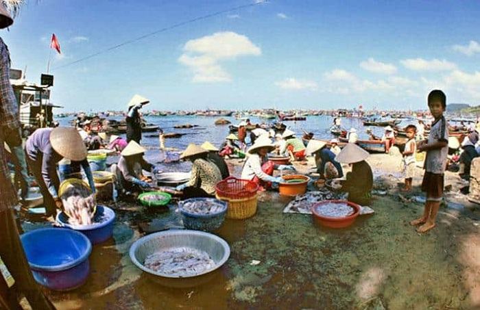 Bãi Biển Cây Dừa Ở Phú Quốc - Những Điểm Độc Đáo Không Thể Bỏ Bãi Biển Cây Dừa Ở Phú Quốc