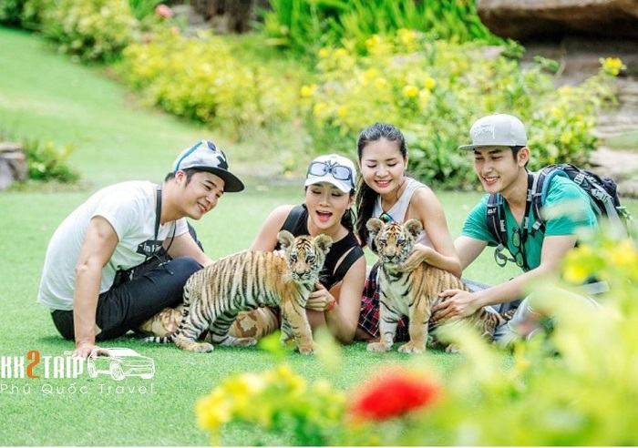Safari Phú Quốc Có Gì Chơi? Trải Nghiệm Safari Phú Quốc Từ A - Z Safari Phú Quốc Có Gì Chơi?