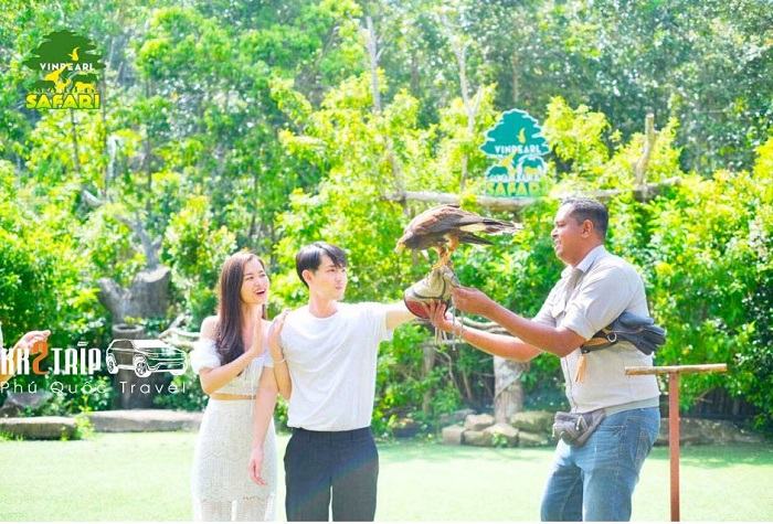 Safari Phú Quốc Có Gì Chơi? Trải Nghiệm Safari Phú Quốc Từ A - Z Safari Phú Quốc Có Gì Chơi?