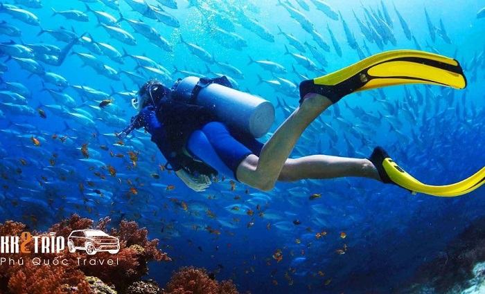 So Sánh Sự Khác Nhau Giữa Lặn Snorkeling & Diving So Sánh Sự Khác Nhau Giữa Lặn Snorkeling & Diving