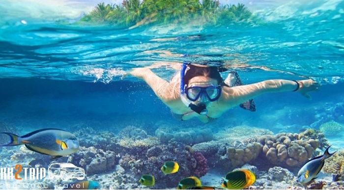 So Sánh Sự Khác Nhau Giữa Lặn Snorkeling & Diving So Sánh Sự Khác Nhau Giữa Lặn Snorkeling & Diving