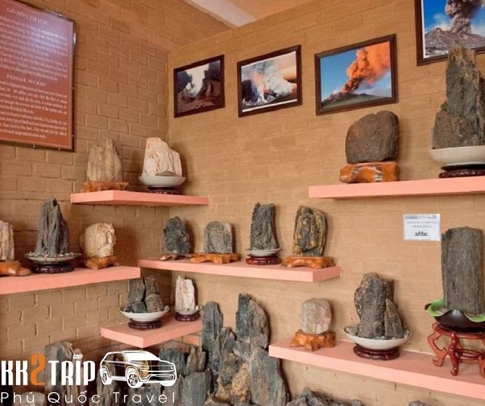 Marine and forest collection at Coi Nguon Museum in Phu Quoc