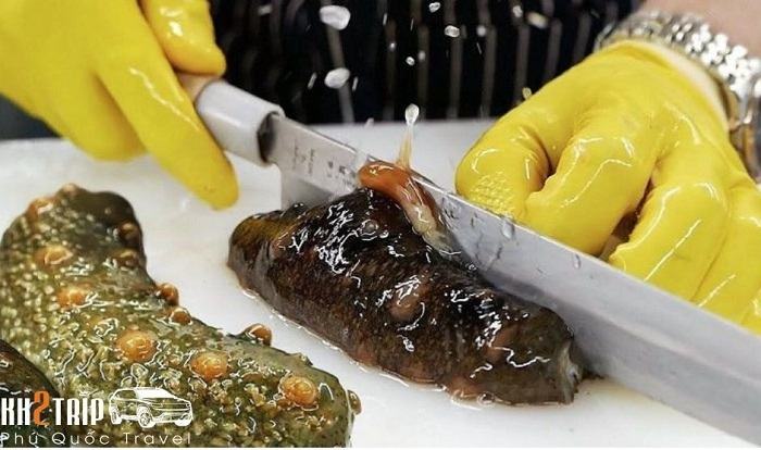 Fresh Phu Quoc sea cucumber