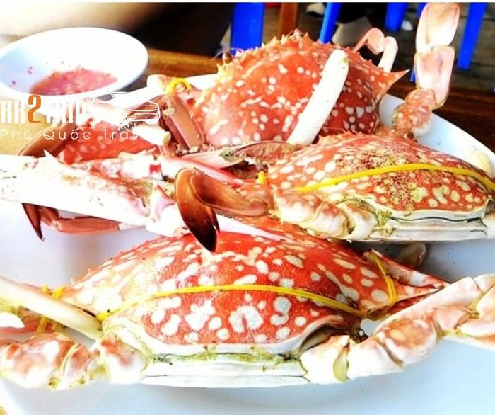 Làng Chài Hàm Ninh Có Gì Đặc Biệt? Review Chi Tiết Nhất!