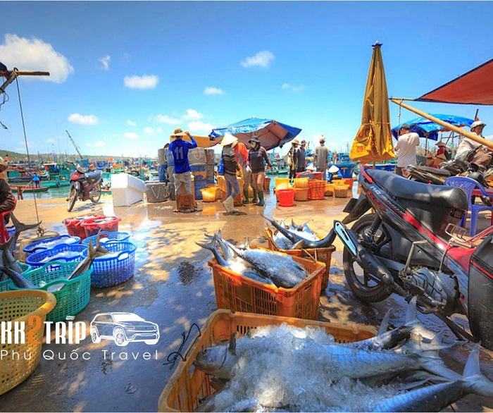 Làng Chài Hàm Ninh Có Gì Đặc Biệt? Review Chi Tiết Nhất!