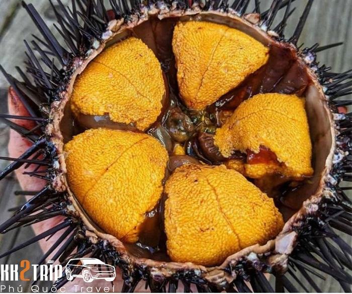 Cầu Gai (Nhum Biển) Phú Quốc – Món Ăn Lạ Mà Ngon