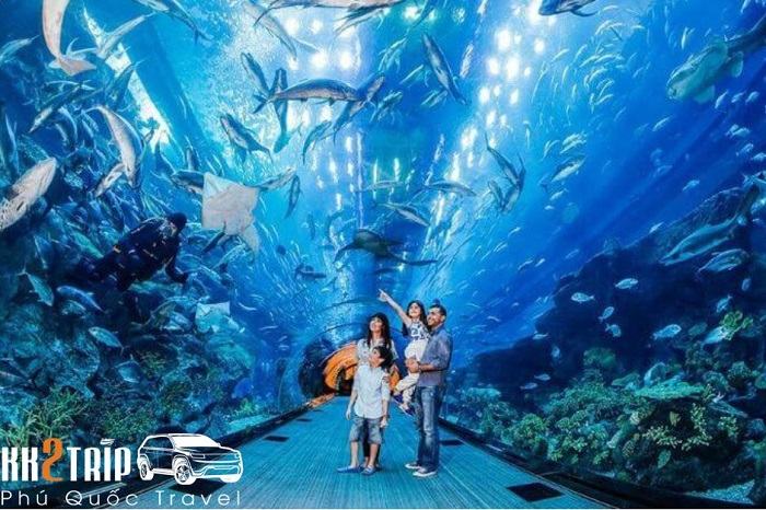 Thủy Cung Phú Quốc: Địa Chỉ, Giá Vé & Những Trải Nghiệm Thú Vị