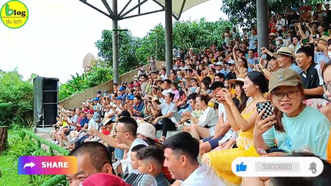 16-Seater Car Hire in Phu Quoc: 3-Day Itinerary Frequently asked questions about car hire in Phu Quoc